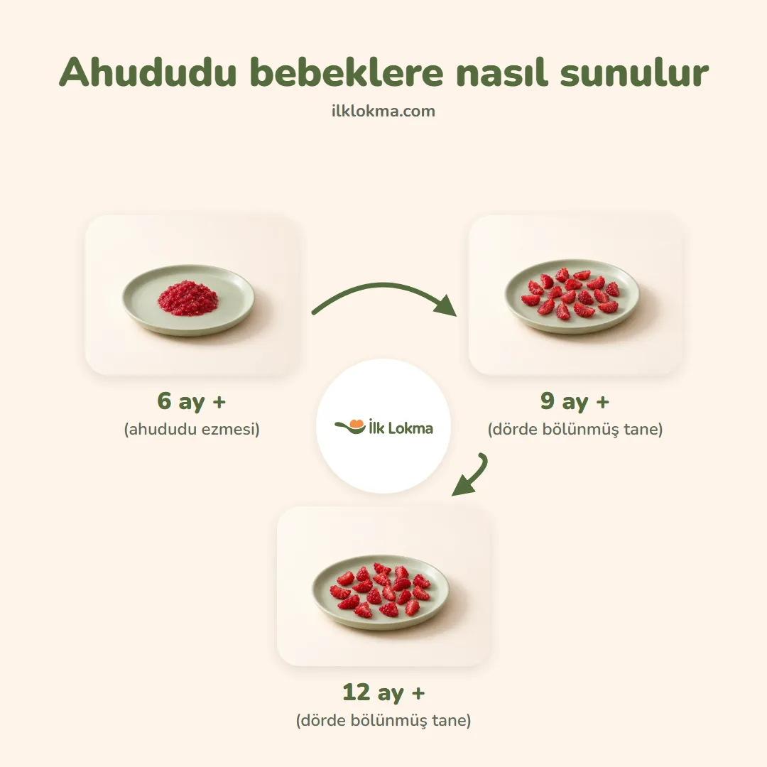 Ahududu yaşa göre nasıl sunulur