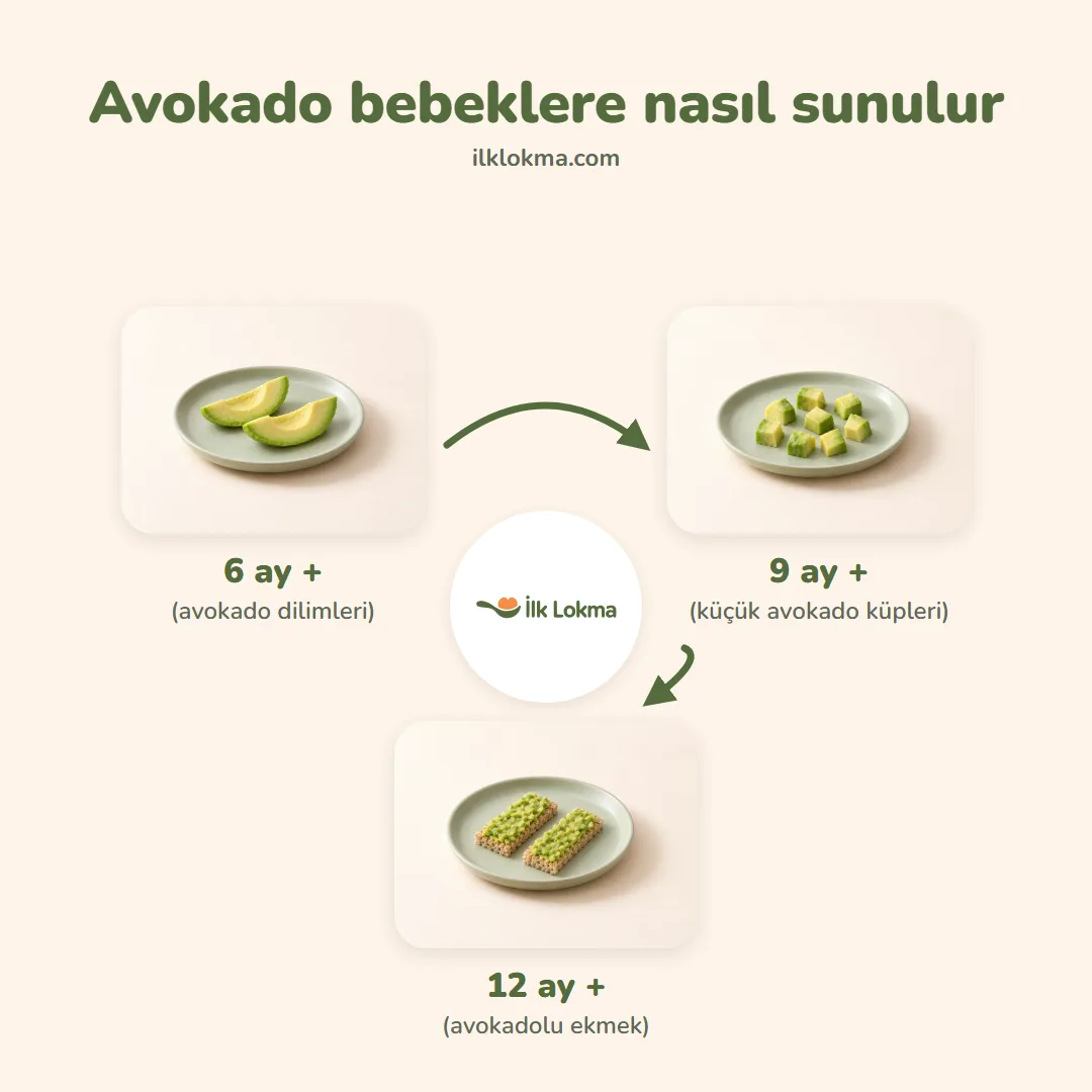 Avokado yaşa göre nasıl sunulur