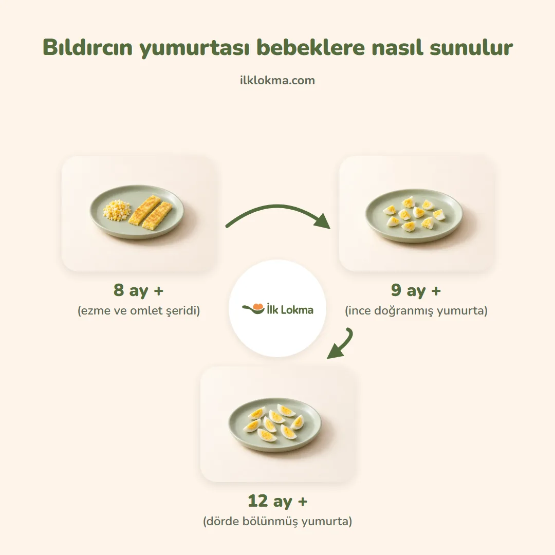 Bıldırcın yumurtası yaşa göre nasıl sunulur