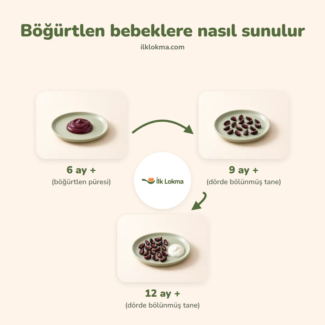 Böğürtlen yaşa göre nasıl sunulur