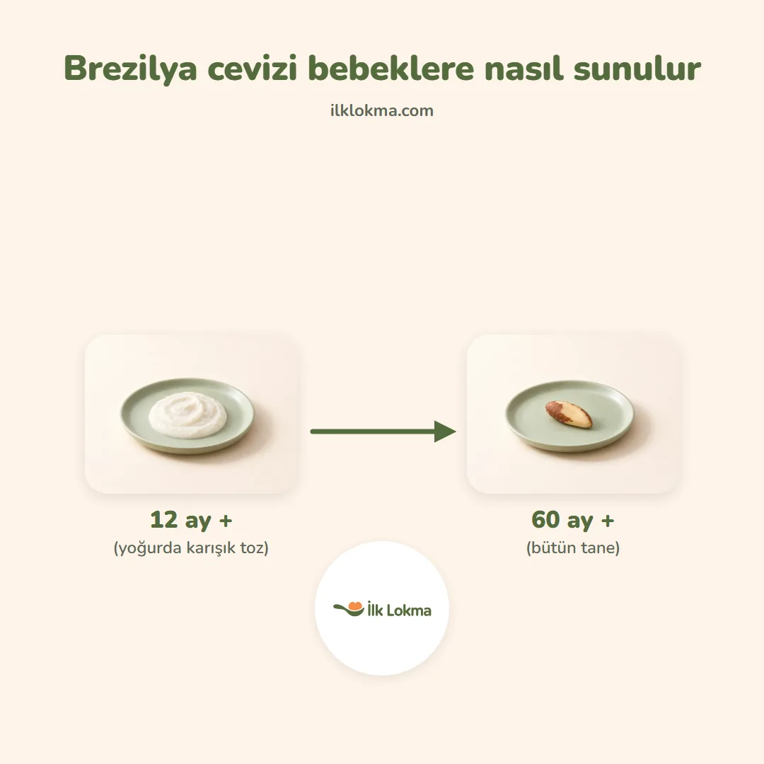Brezilya cevizi yaşa göre nasıl sunulur