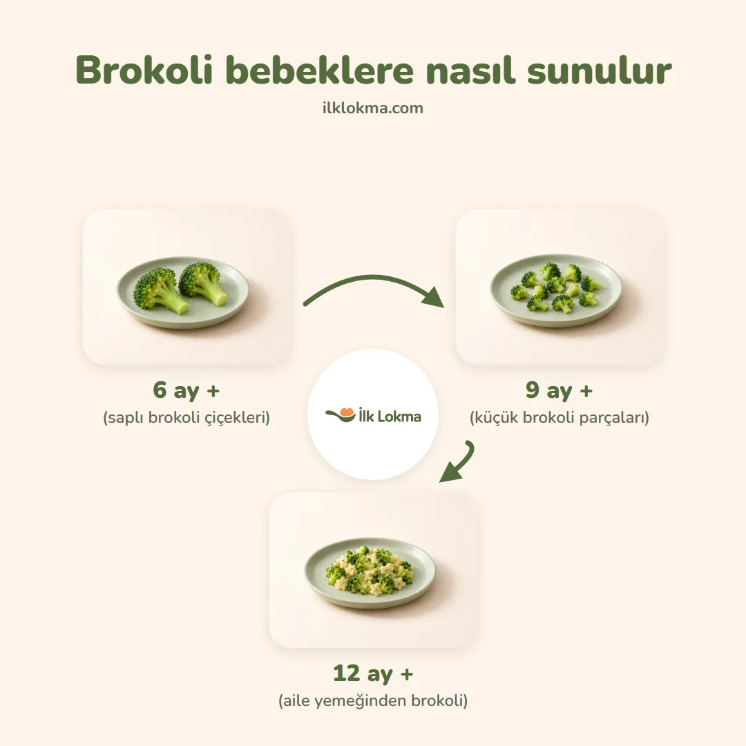 Brokoli yaşa göre nasıl sunulur