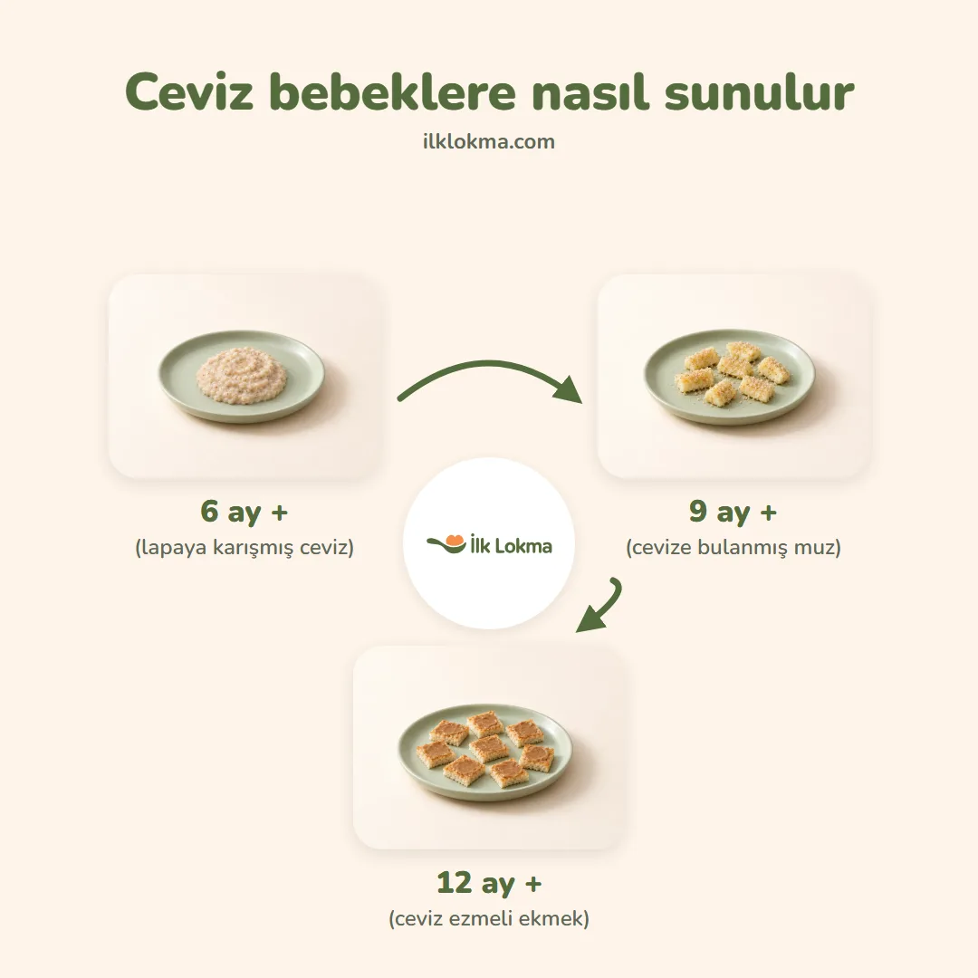 Ceviz yaşa göre nasıl sunulur