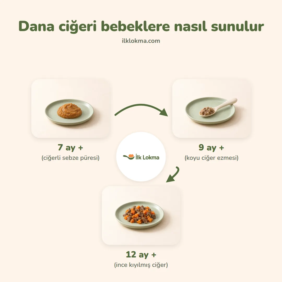 Dana ciğeri yaşa göre nasıl sunulur