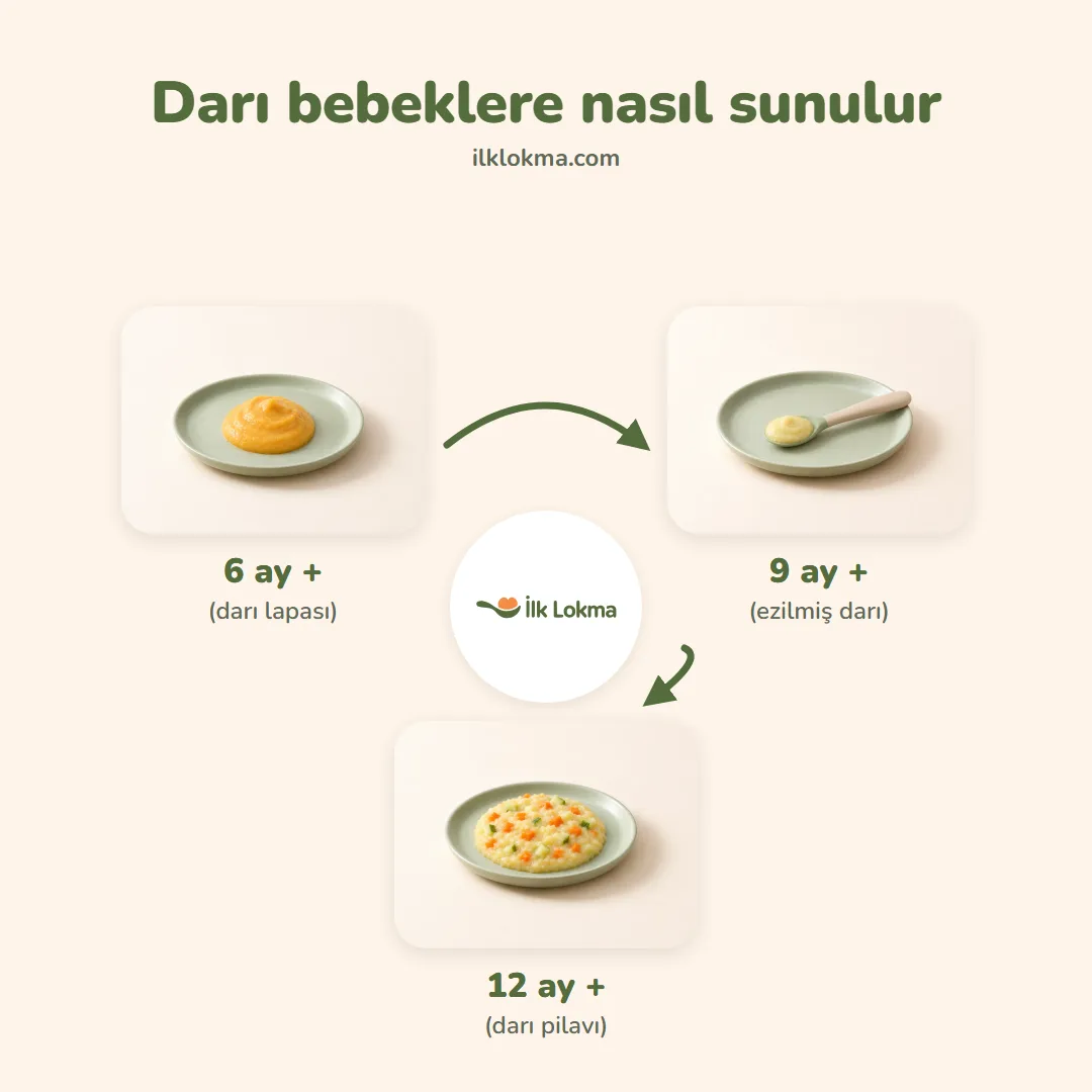 Darı yaşa göre nasıl sunulur