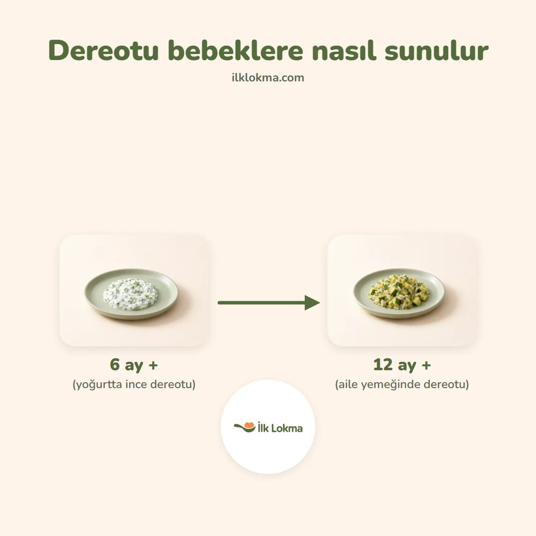 Dereotu yaşa göre nasıl sunulur