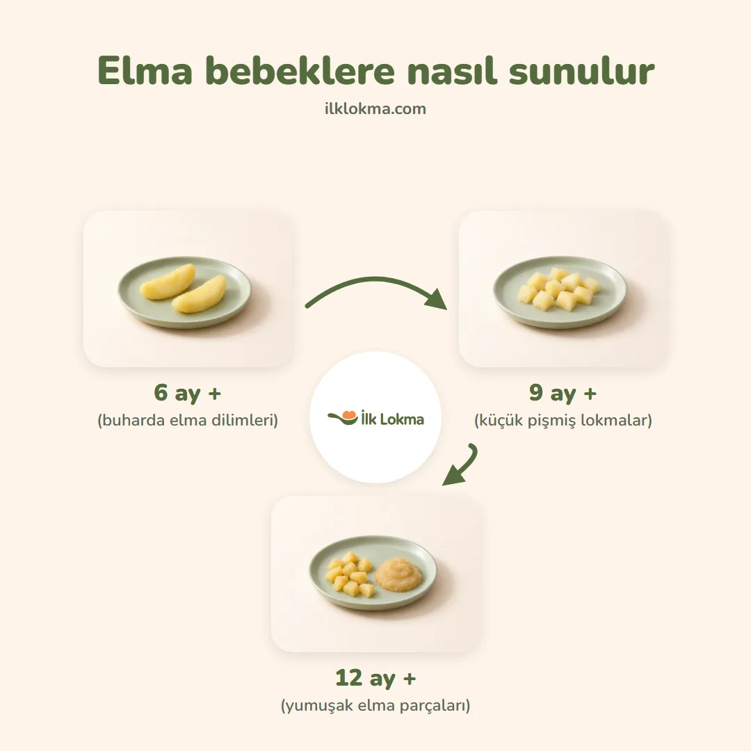 Elma yaşa göre nasıl sunulur