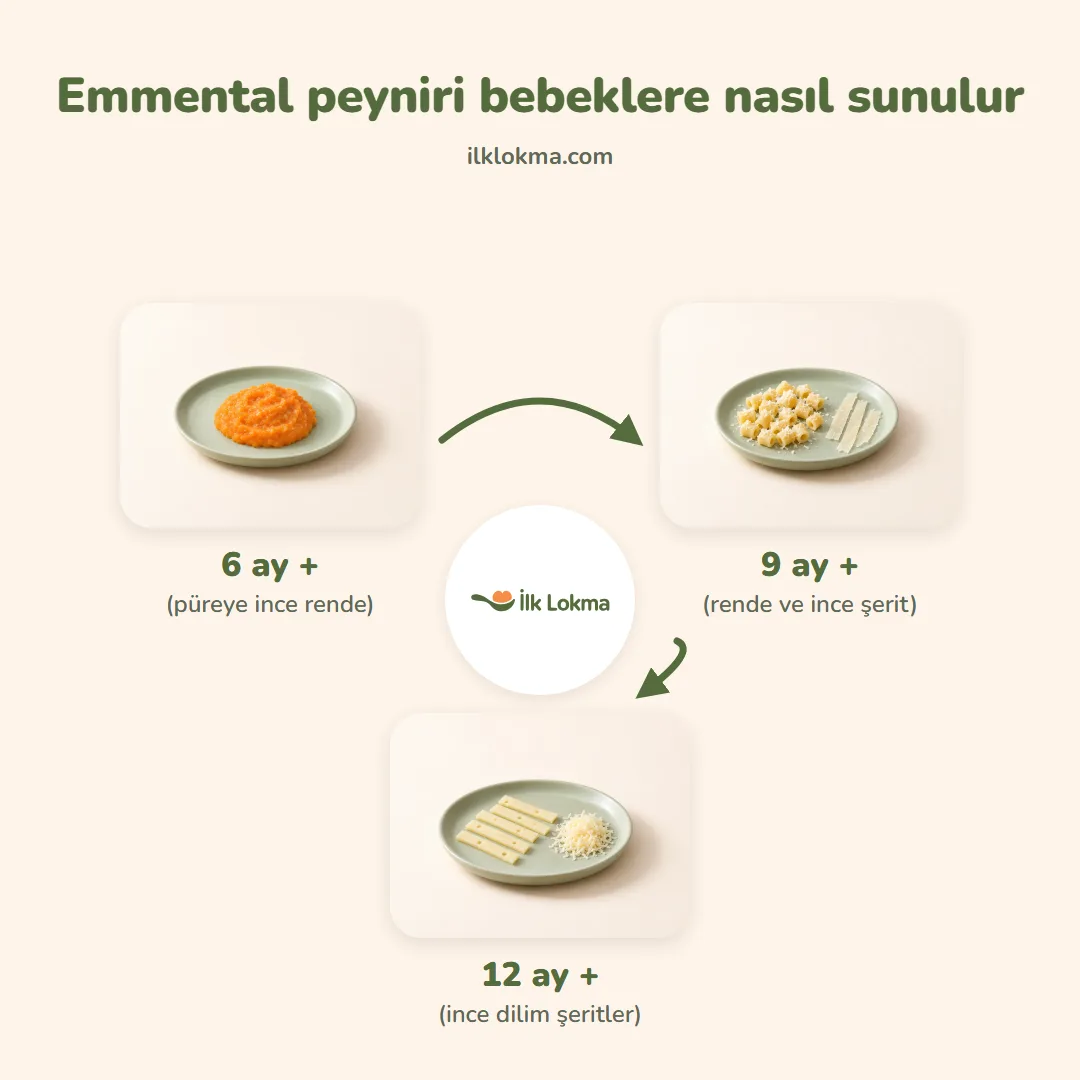 Emmental peyniri yaşa göre nasıl sunulur