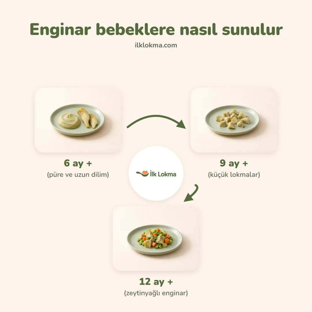 Enginar yaşa göre nasıl sunulur