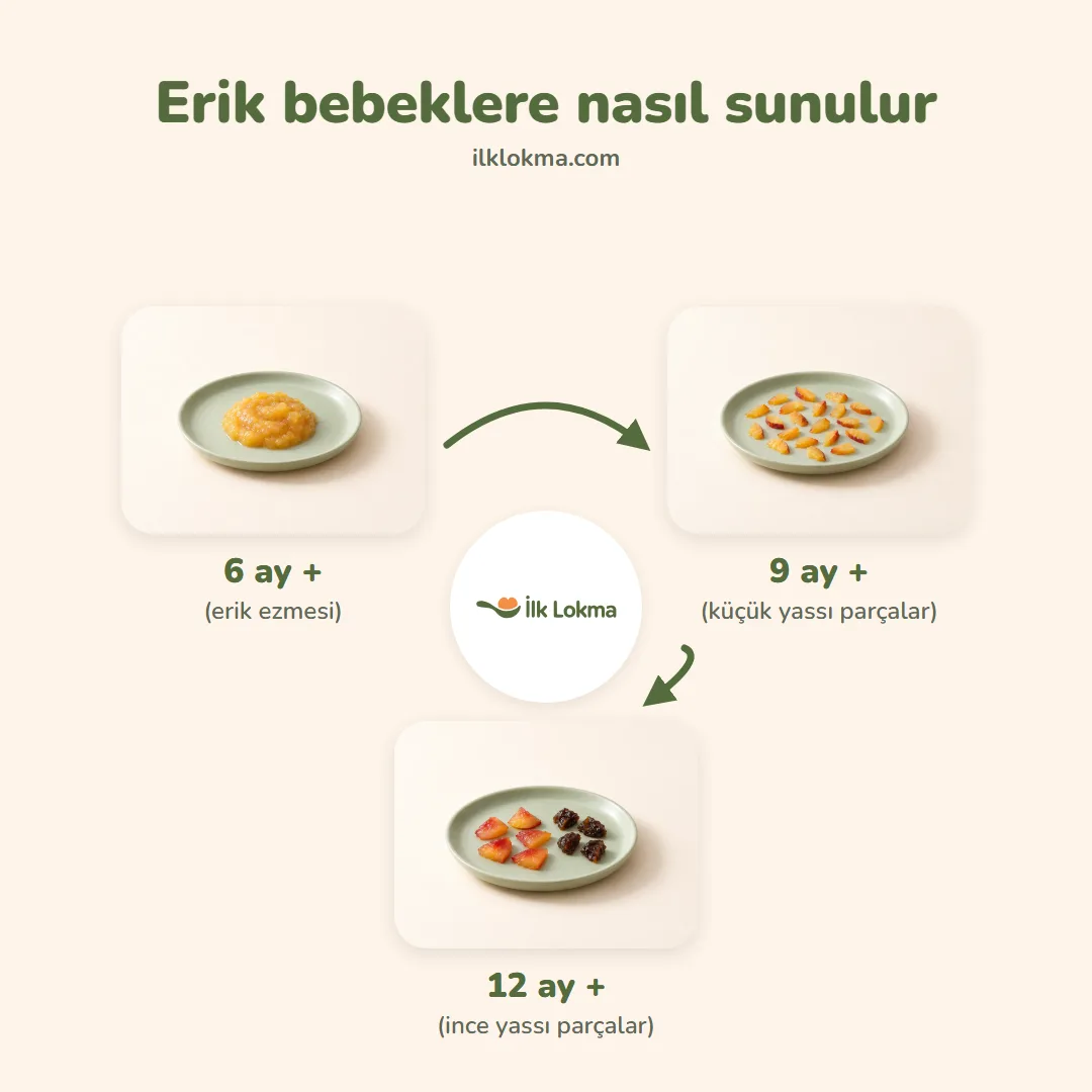 Erik yaşa göre nasıl sunulur