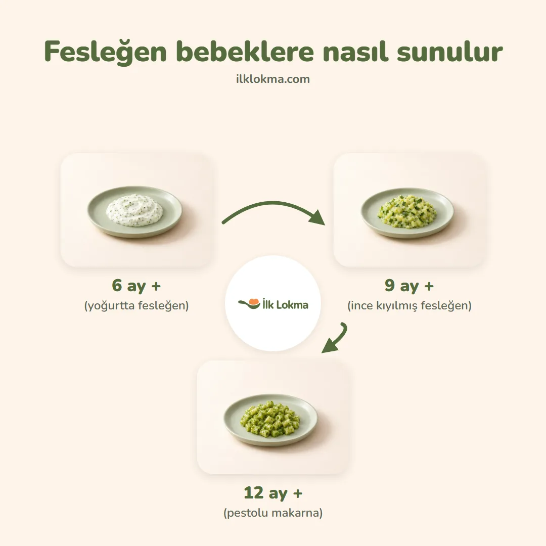 Fesleğen yaşa göre nasıl sunulur