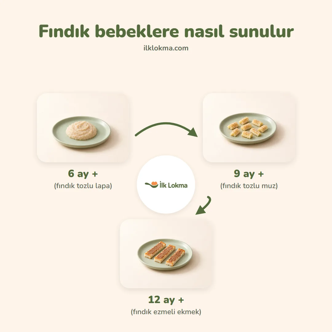 Fındık yaşa göre nasıl sunulur
