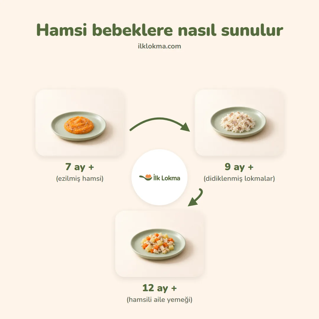 Hamsi yaşa göre nasıl sunulur