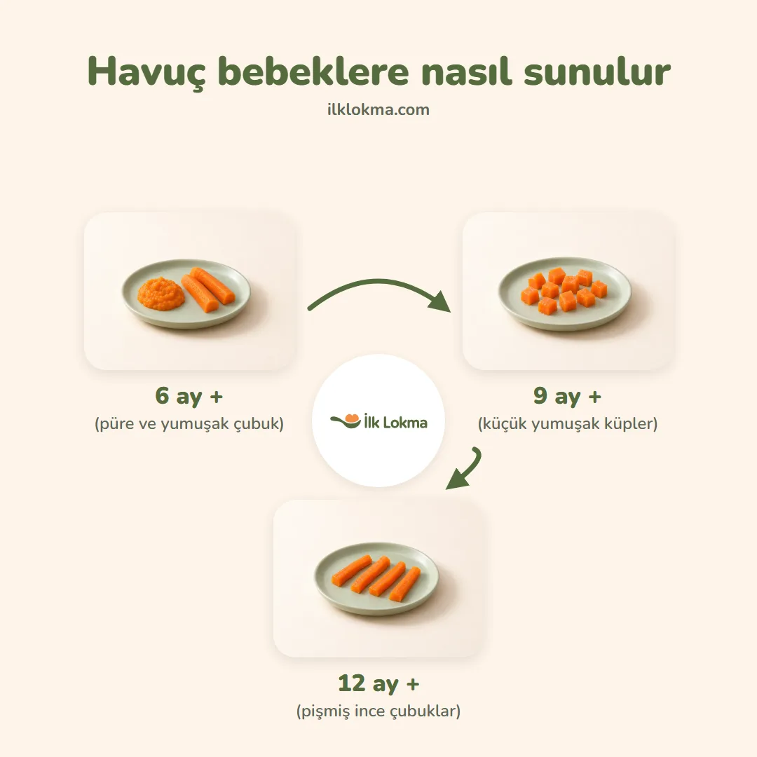 Havuç yaşa göre nasıl sunulur