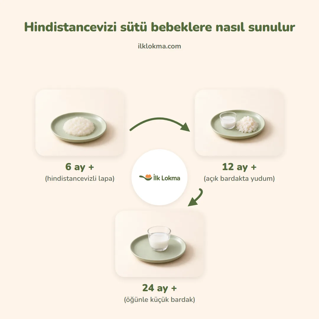 Hindistancevizi sütü yaşa göre nasıl sunulur