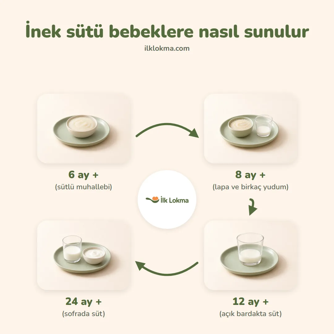 İnek sütü yaşa göre nasıl sunulur