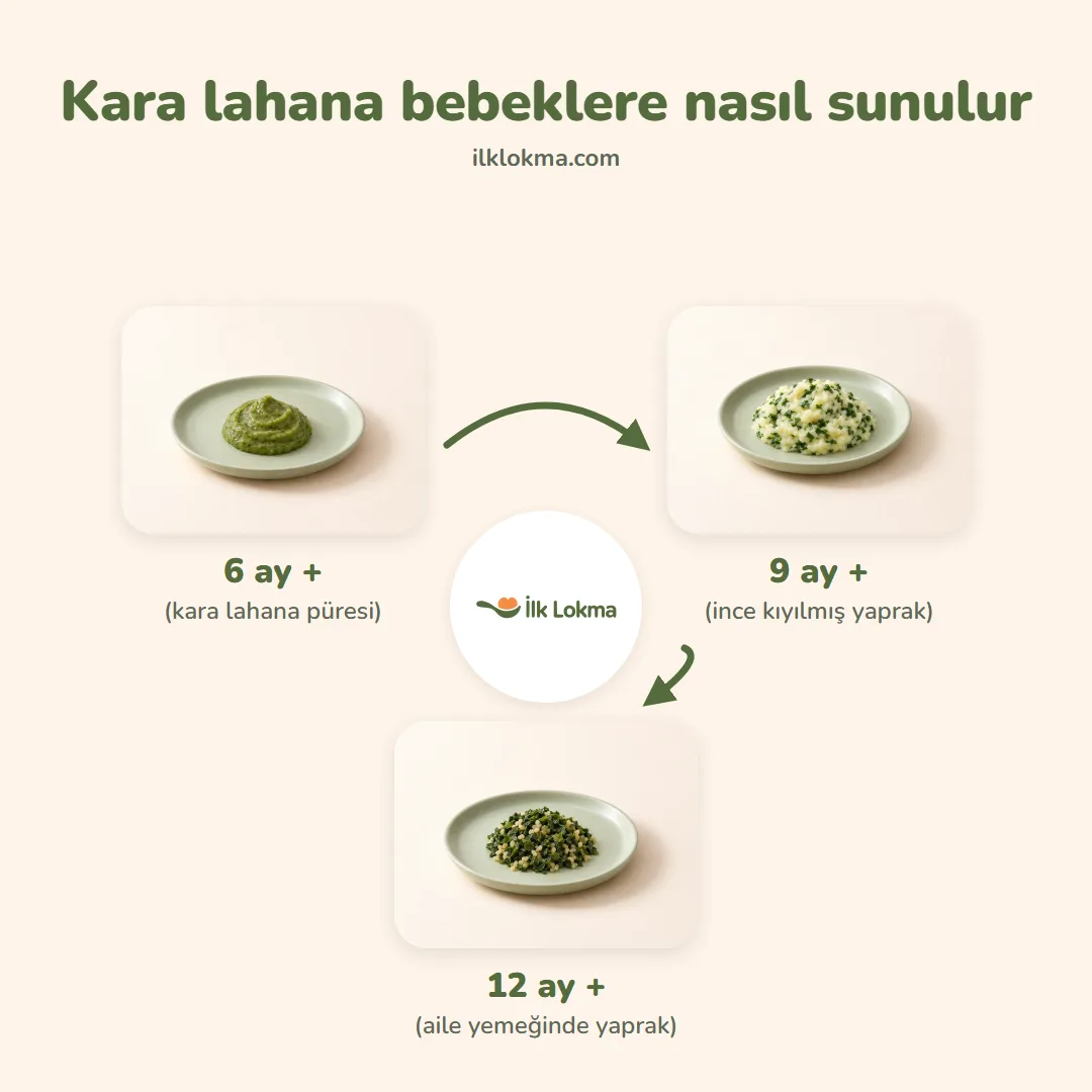 Kara lahana yaşa göre nasıl sunulur