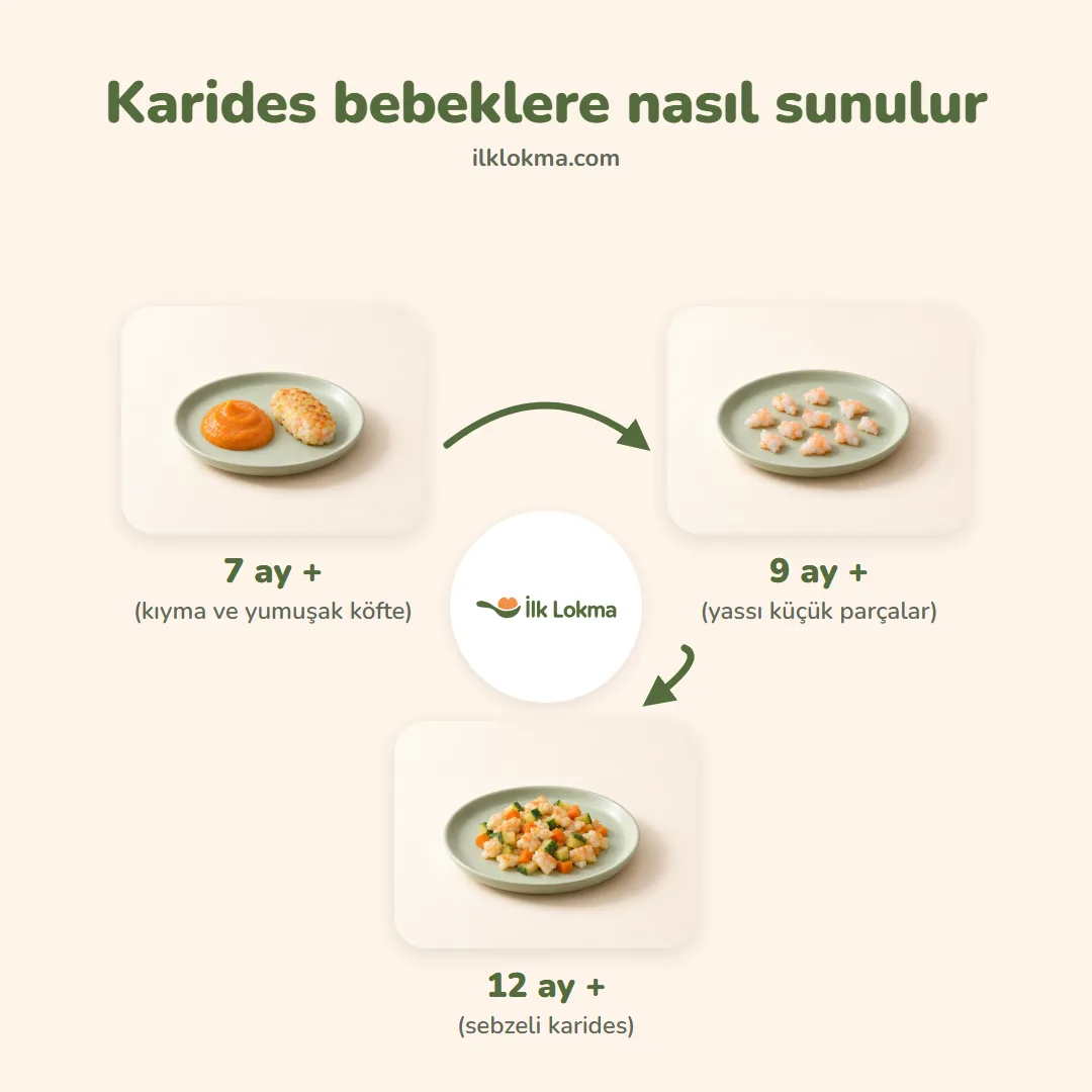 Karides yaşa göre nasıl sunulur