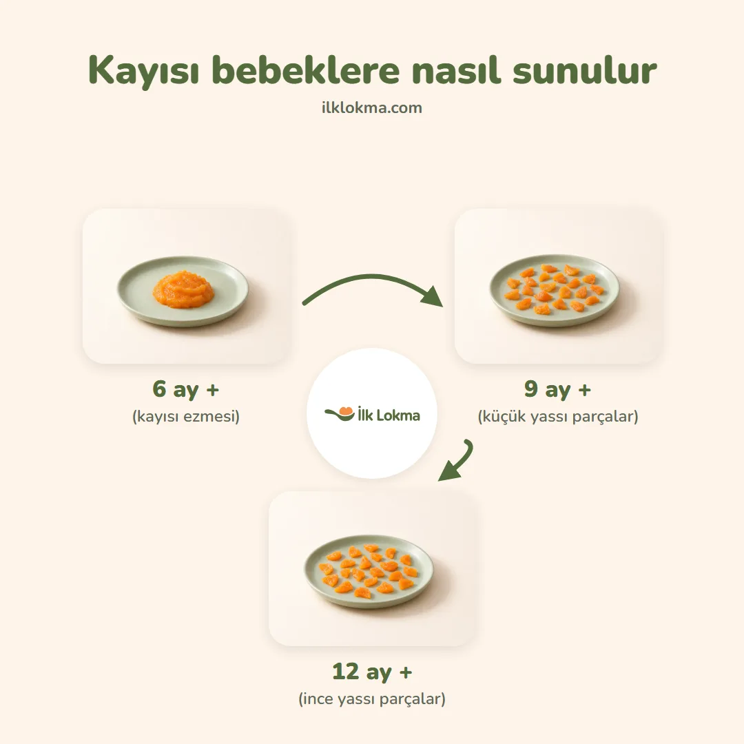 Kayısı yaşa göre nasıl sunulur