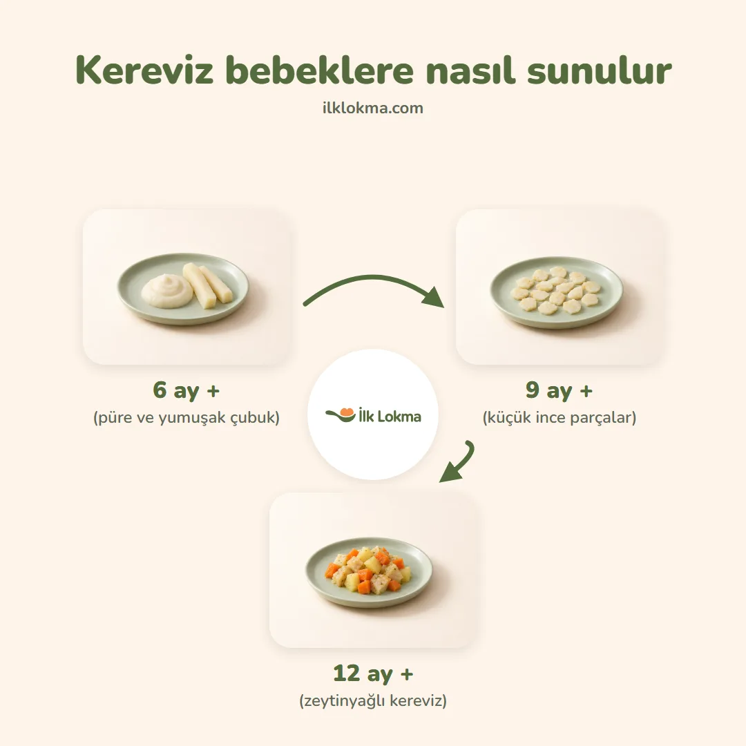 Kereviz yaşa göre nasıl sunulur