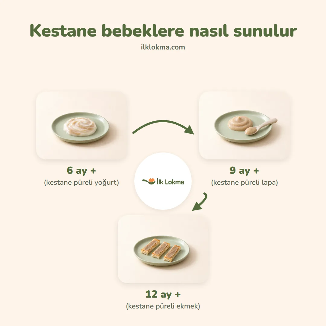 Kestane yaşa göre nasıl sunulur