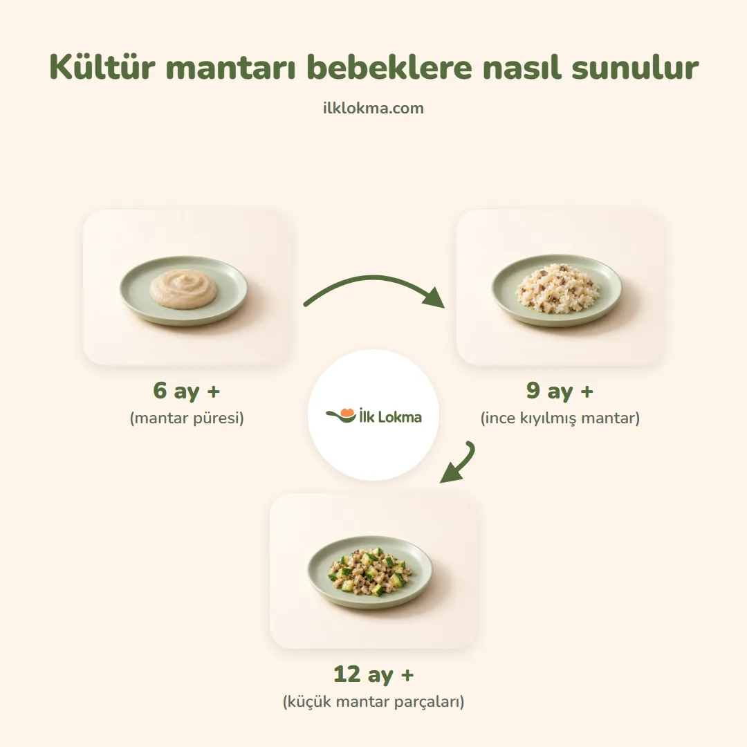 Kültür mantarı yaşa göre nasıl sunulur