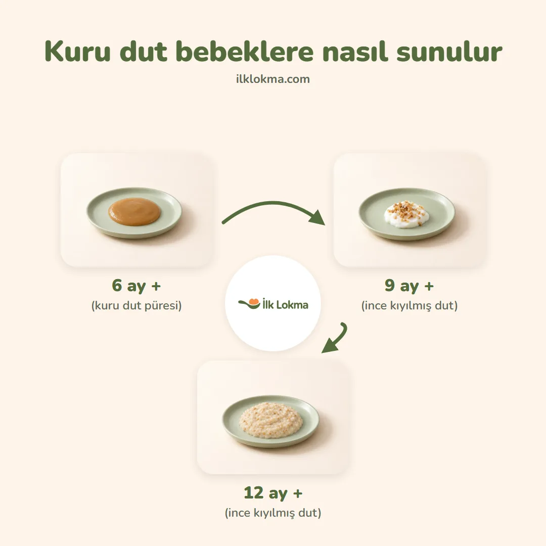 Kuru dut yaşa göre nasıl sunulur