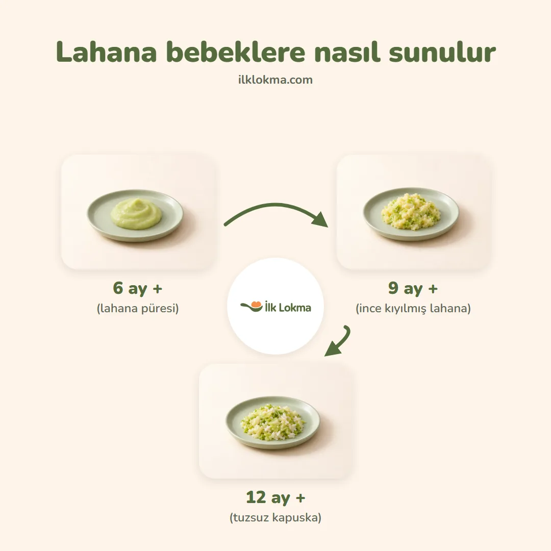 Lahana yaşa göre nasıl sunulur