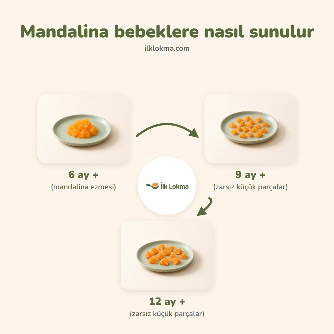 Mandalina yaşa göre nasıl sunulur
