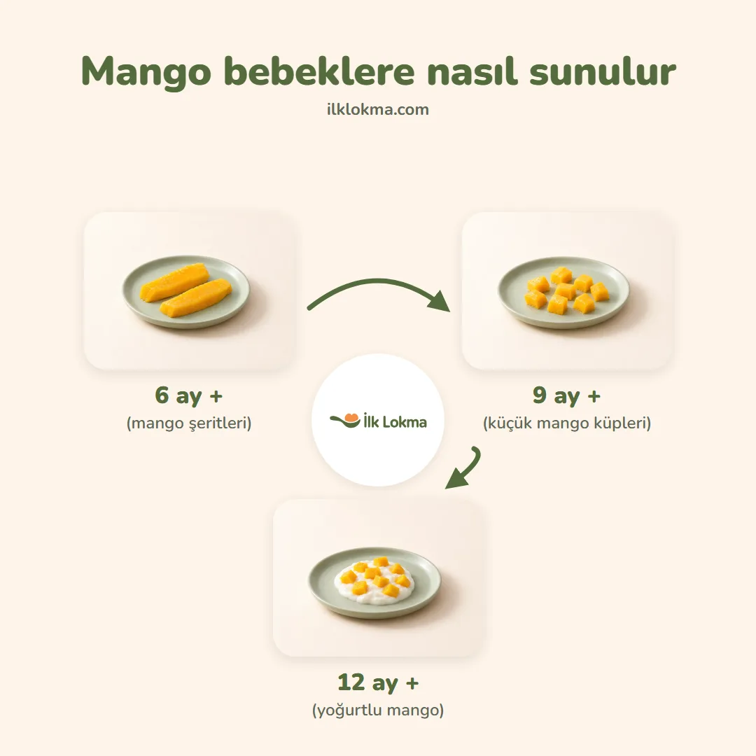 Mango yaşa göre nasıl sunulur