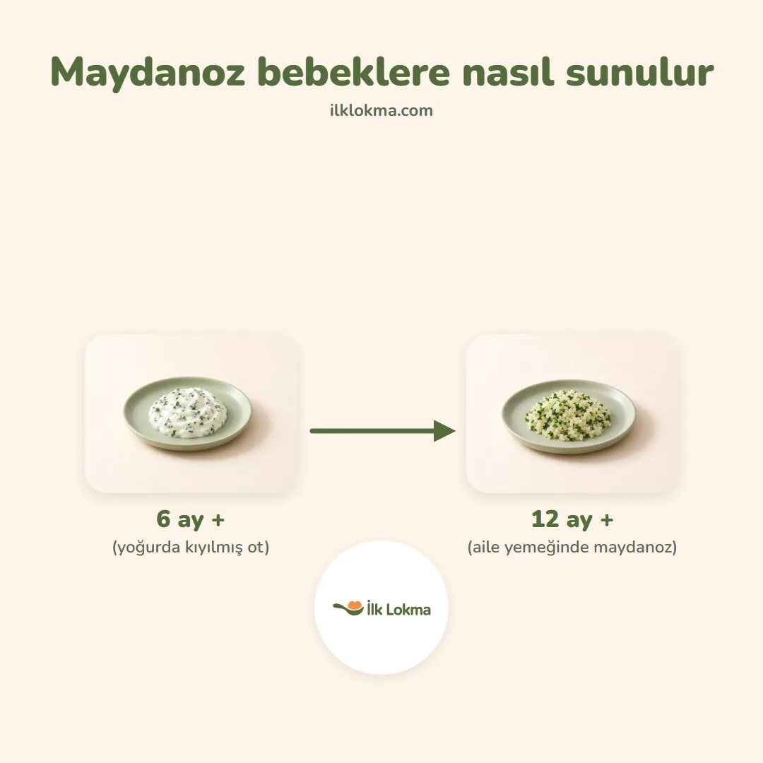 Maydanoz yaşa göre nasıl sunulur