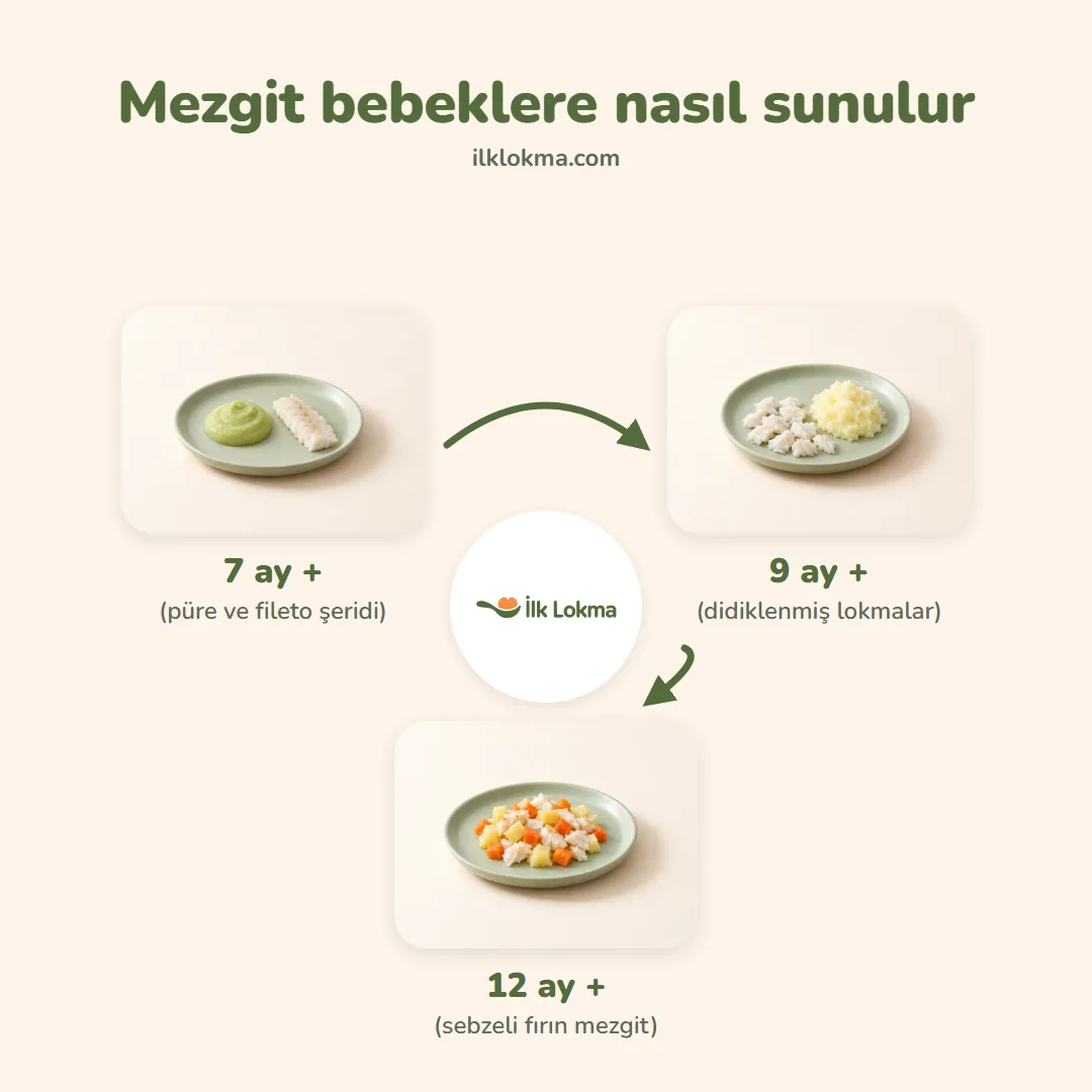 Mezgit yaşa göre nasıl sunulur