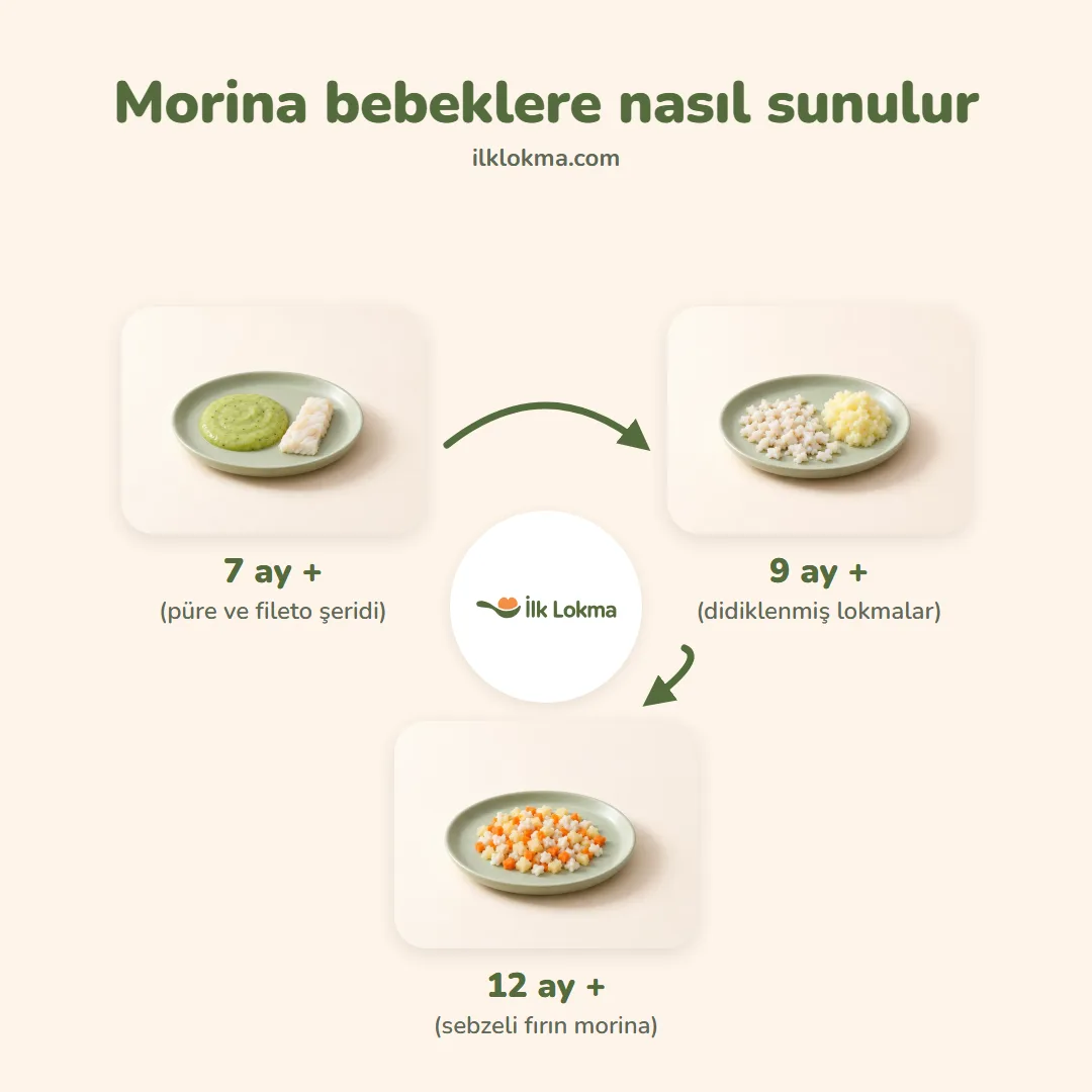 Morina yaşa göre nasıl sunulur