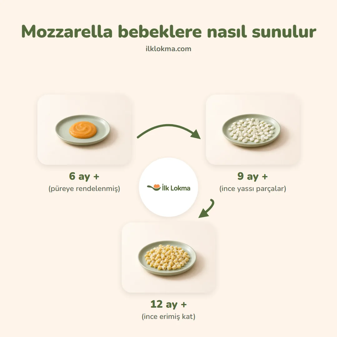 Mozzarella yaşa göre nasıl sunulur