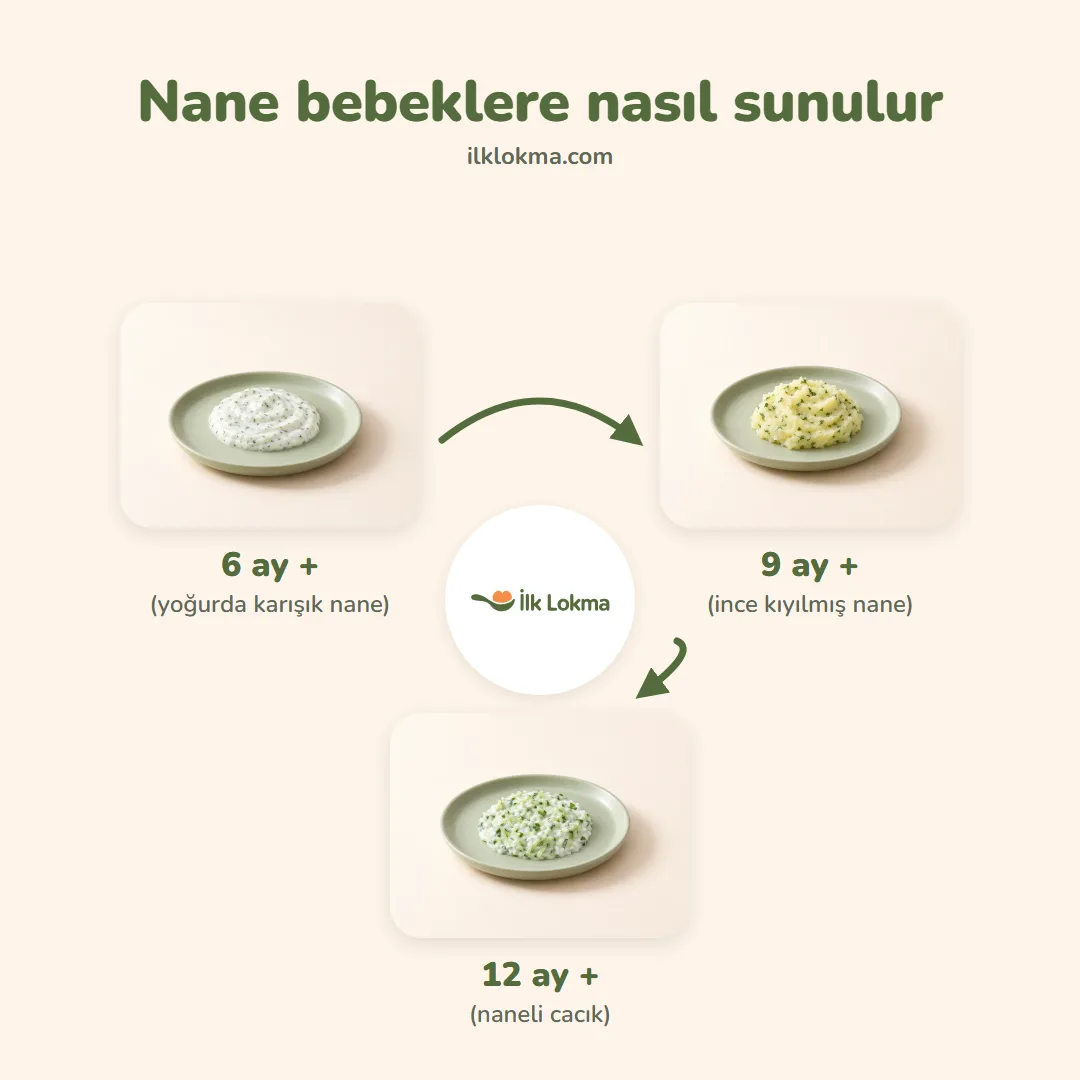 Nane yaşa göre nasıl sunulur