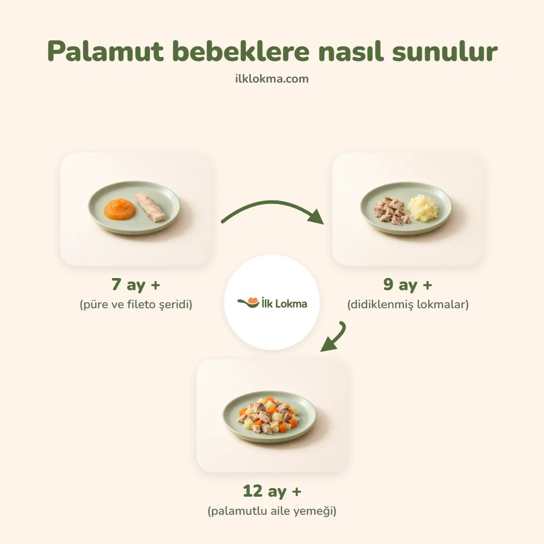 Palamut yaşa göre nasıl sunulur