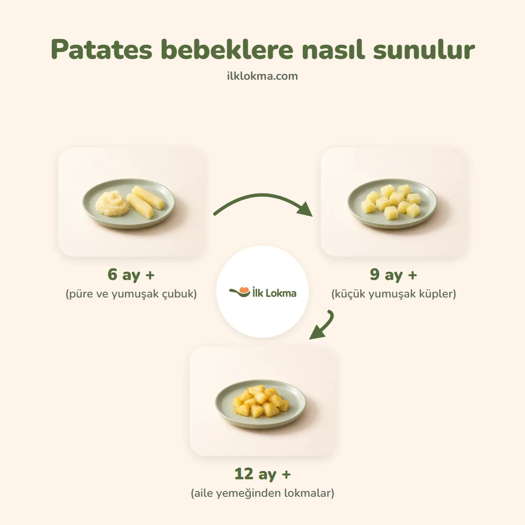 Patates yaşa göre nasıl sunulur