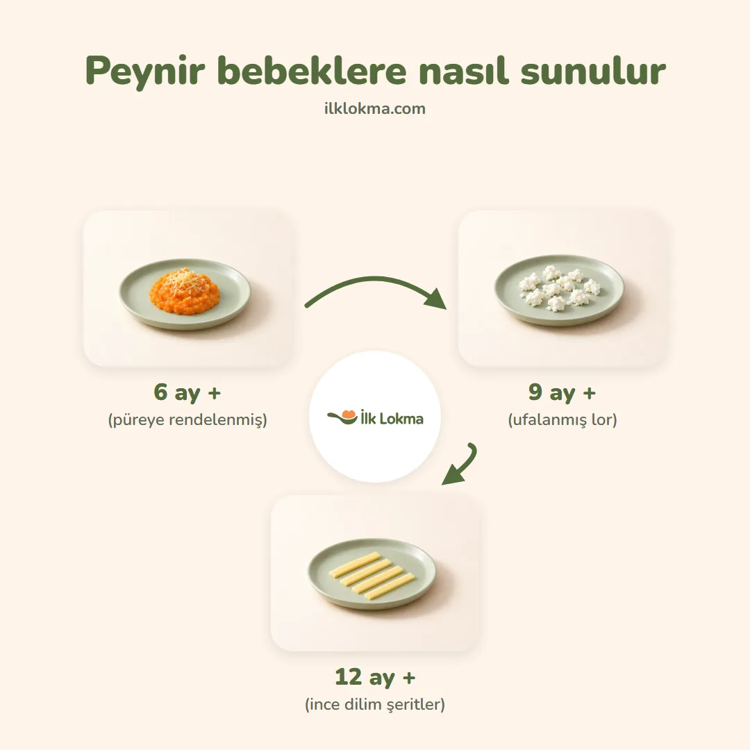 Peynir yaşa göre nasıl sunulur