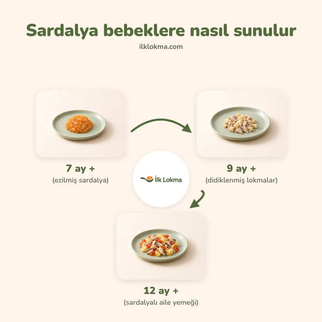 Sardalya yaşa göre nasıl sunulur