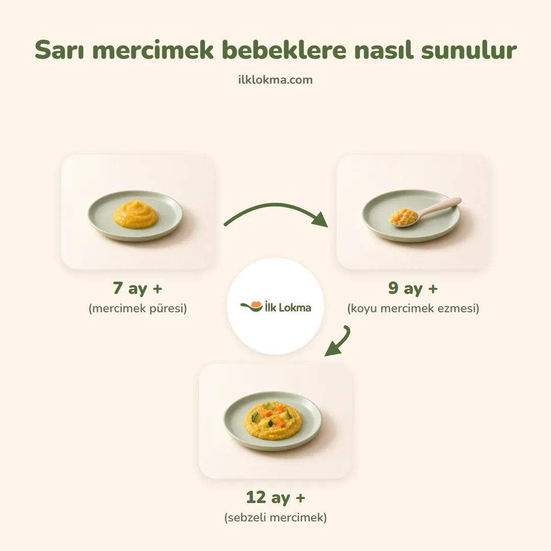 Sarı mercimek yaşa göre nasıl sunulur