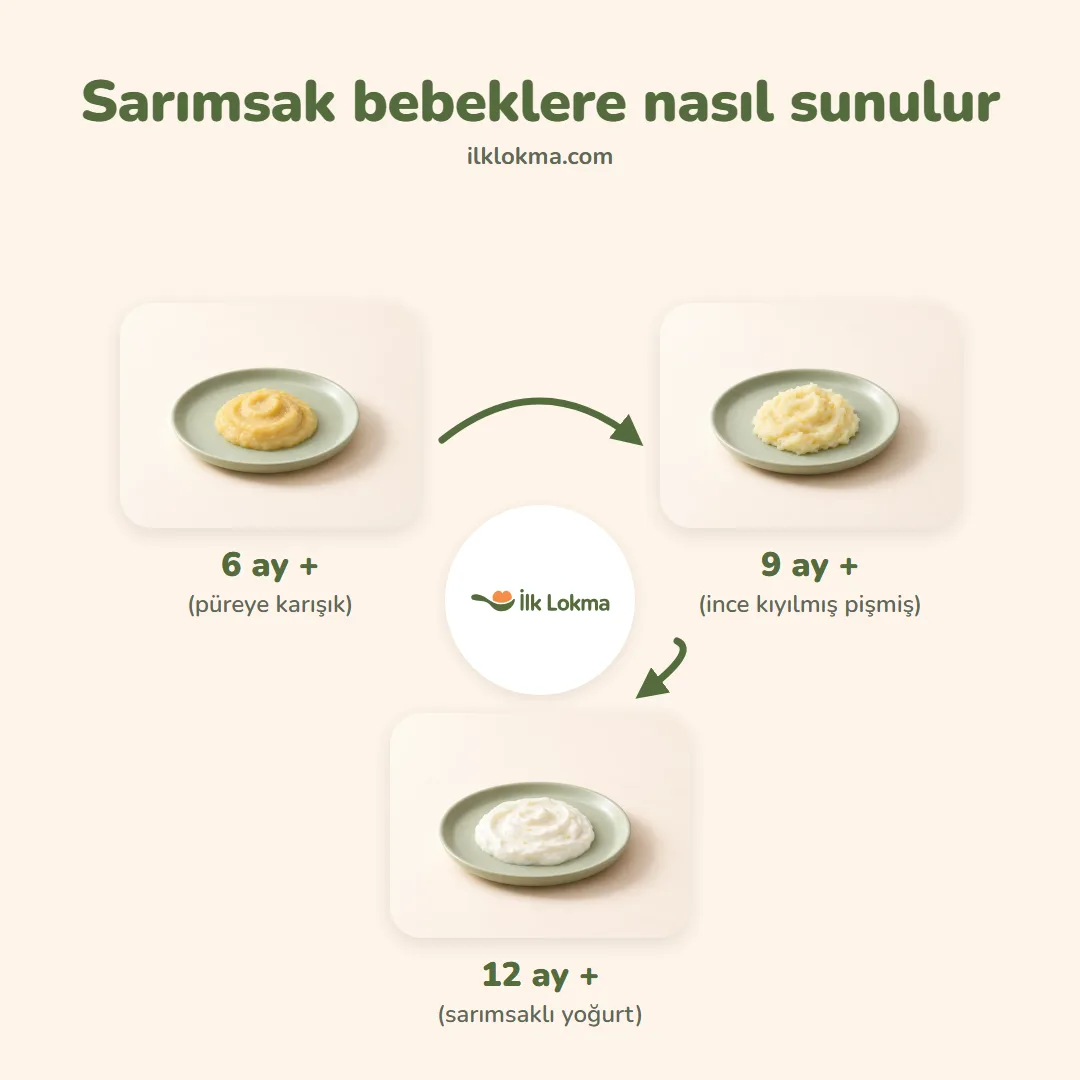 Sarımsak yaşa göre nasıl sunulur