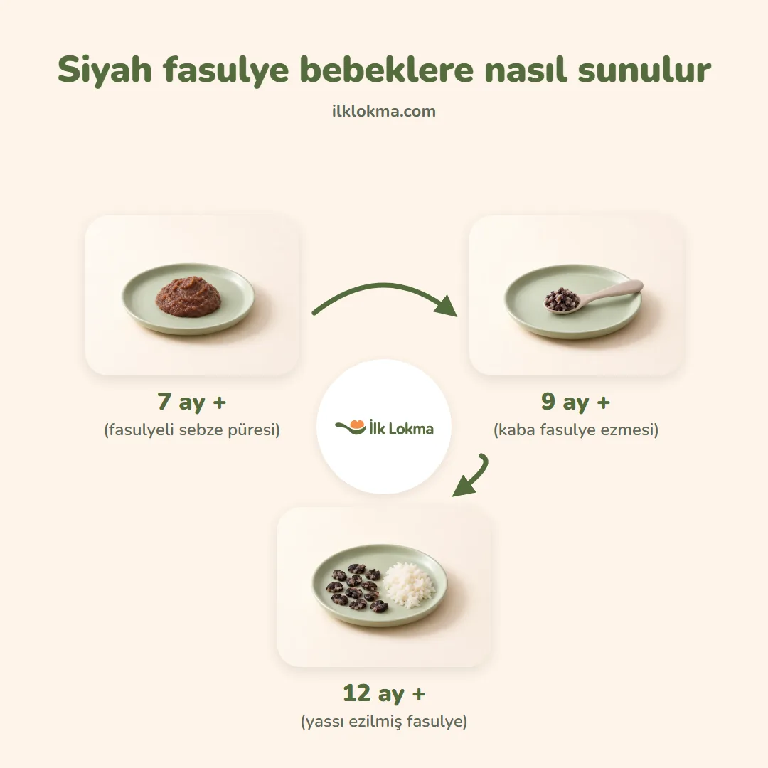 Siyah fasulye yaşa göre nasıl sunulur