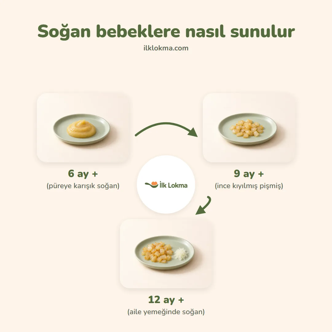 Soğan yaşa göre nasıl sunulur