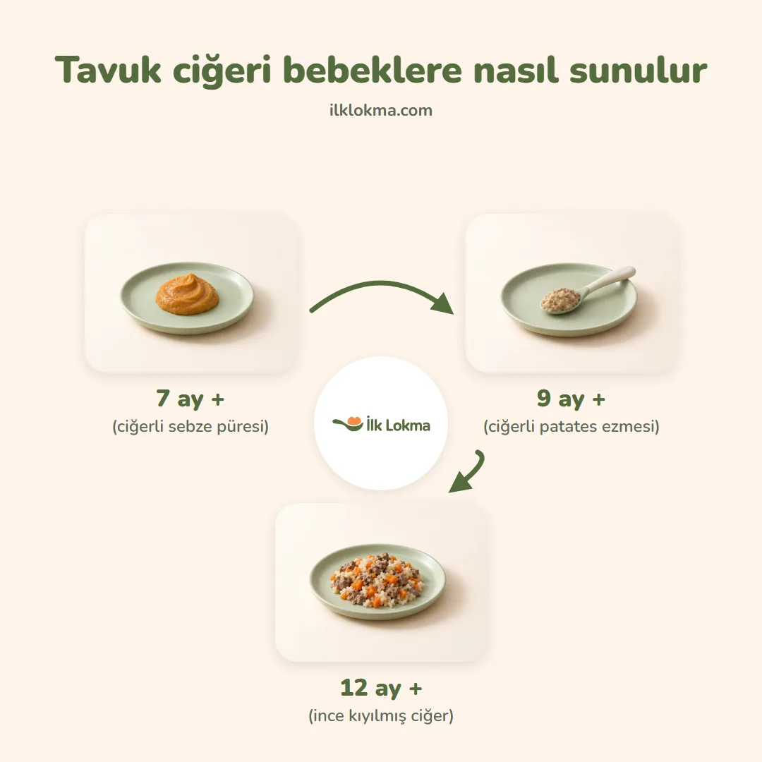 Tavuk ciğeri yaşa göre nasıl sunulur