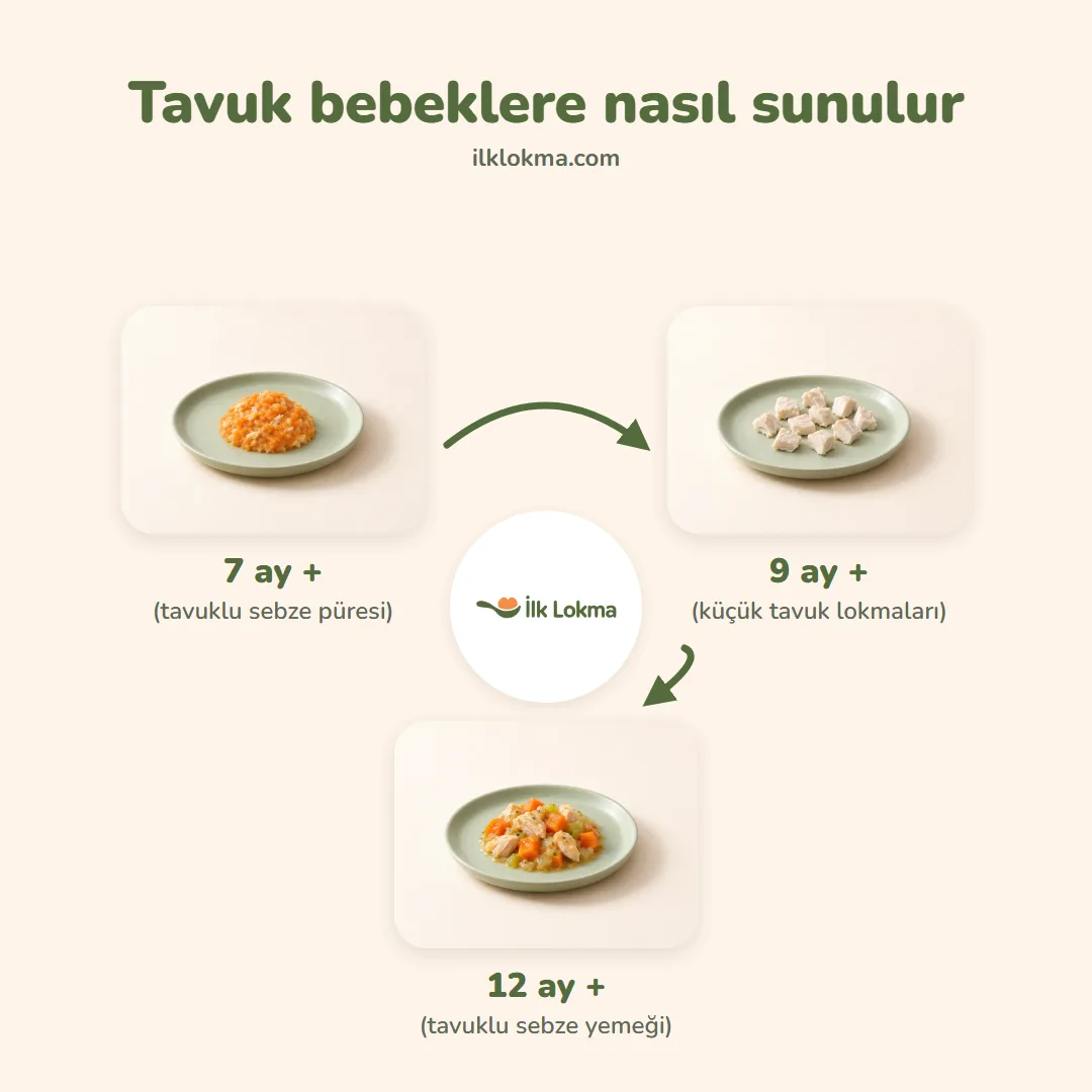 Tavuk yaşa göre nasıl sunulur