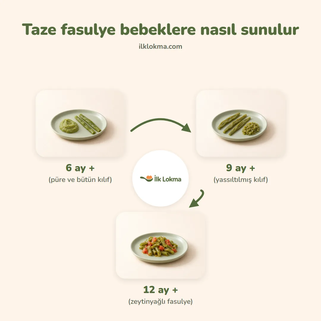 Taze fasulye yaşa göre nasıl sunulur