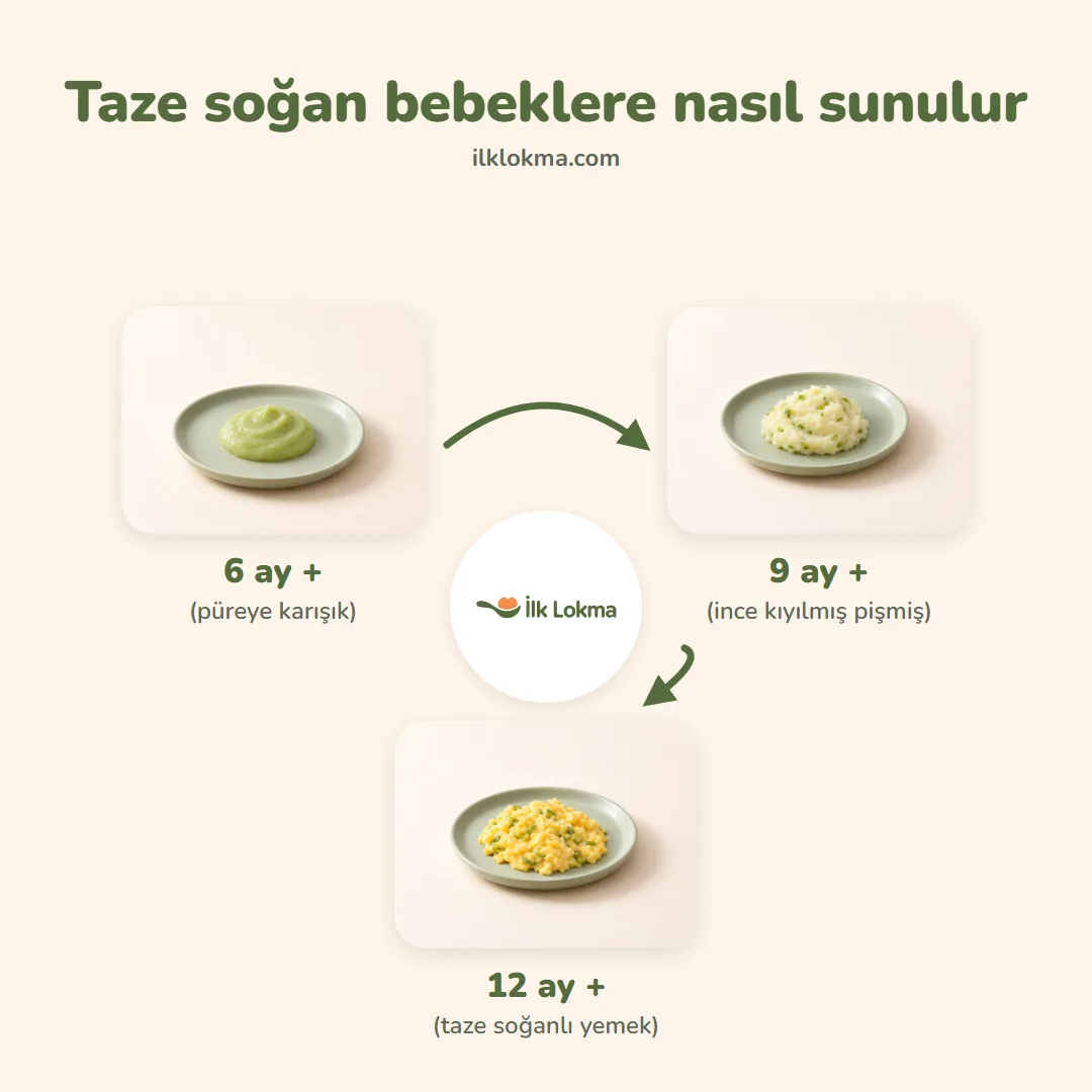 Taze soğan yaşa göre nasıl sunulur