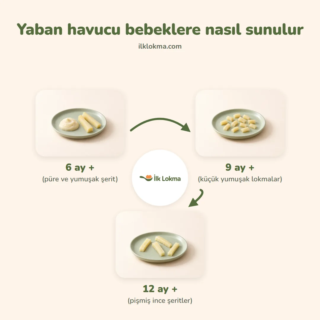Yaban havucu yaşa göre nasıl sunulur