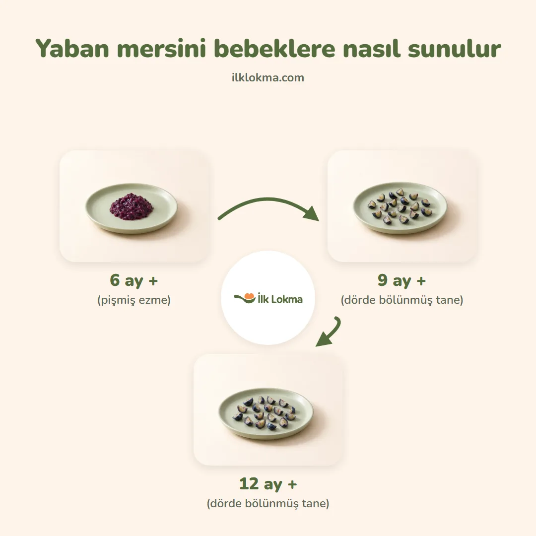 Yaban mersini yaşa göre nasıl sunulur