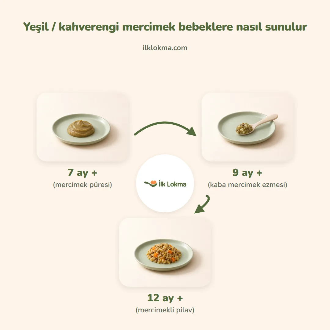 Yeşil / kahverengi mercimek yaşa göre nasıl sunulur
